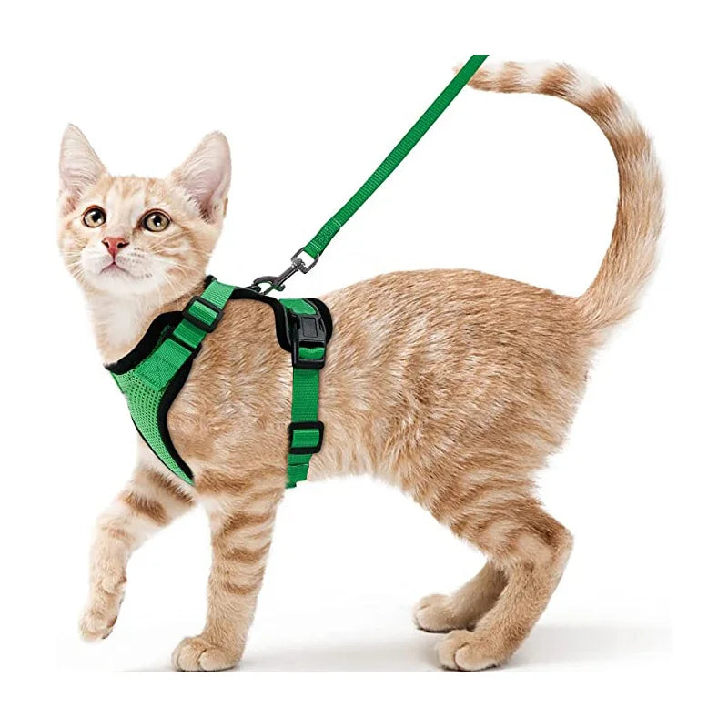 Small Pet Harness and Leash Shop1103832092 Store
