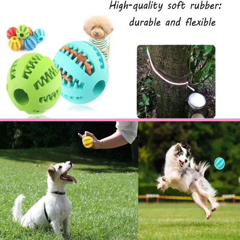 Interactive Rubber Chew Ball for Dogs & Cats — Treat Dispenser & Tooth-Cleaning Puppy Toy (5 cm / 2 in & 7 cm / 2.8 in) FanzyMarket