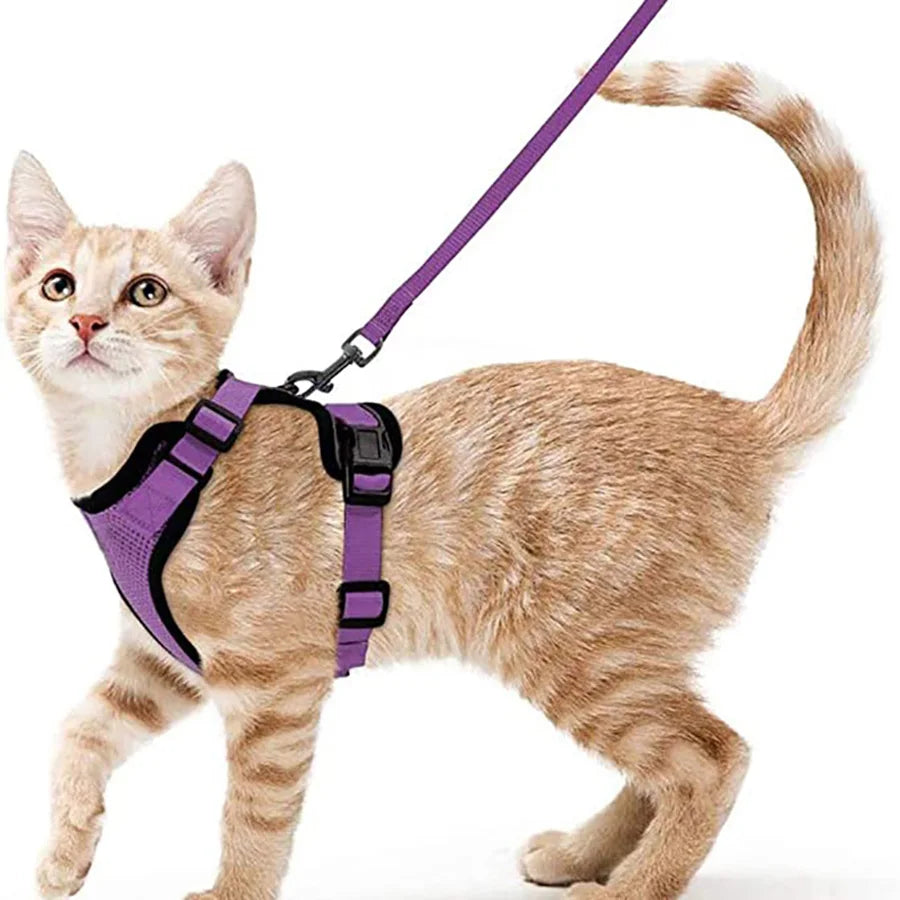 Small Pet Harness and Leash Shop1103832092 Store