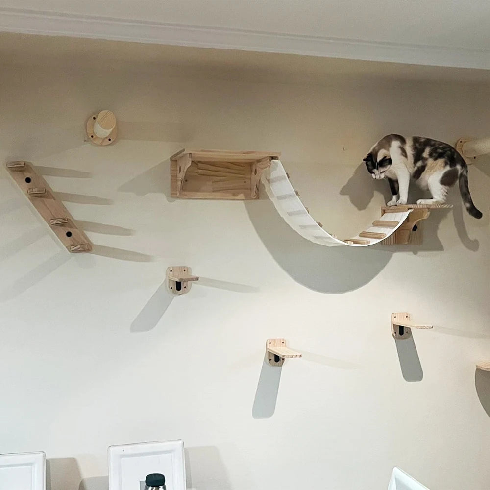 Wall Mounted Cat Climbing Shelves PATYOCAT Official Store