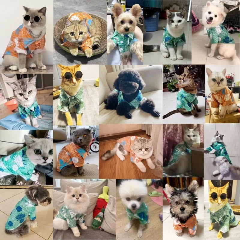 Hawaiian Style Pet Beach Shirts Abrrlo Official Store