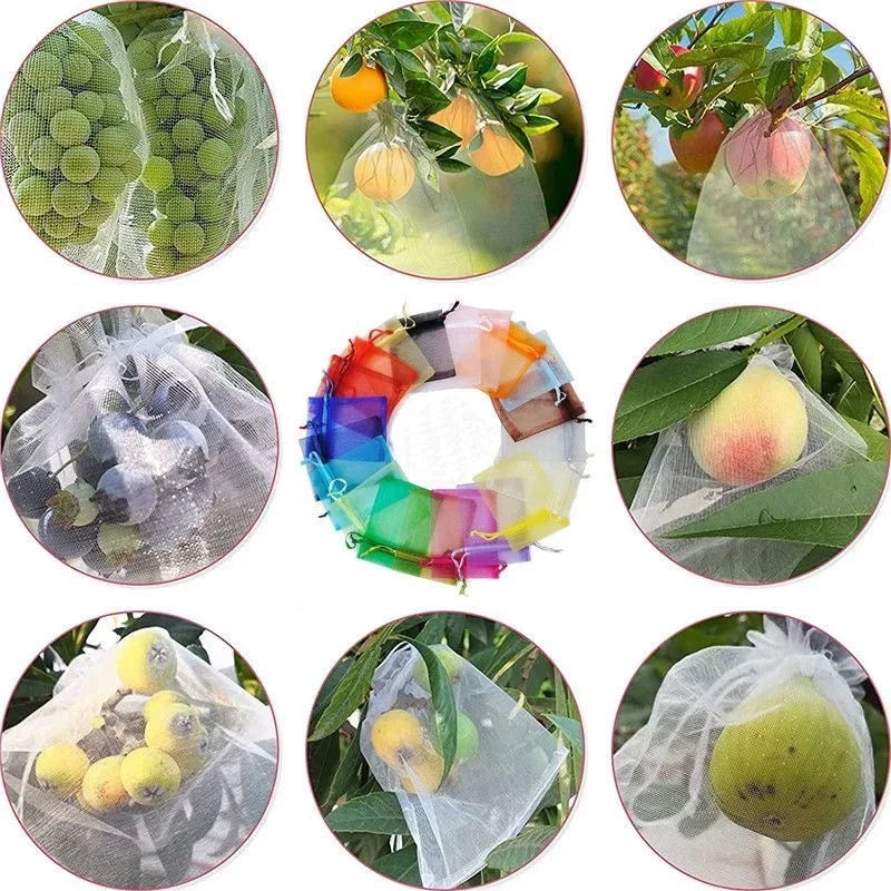 100pcs Fruit Protection Bags Lovemy Home Store