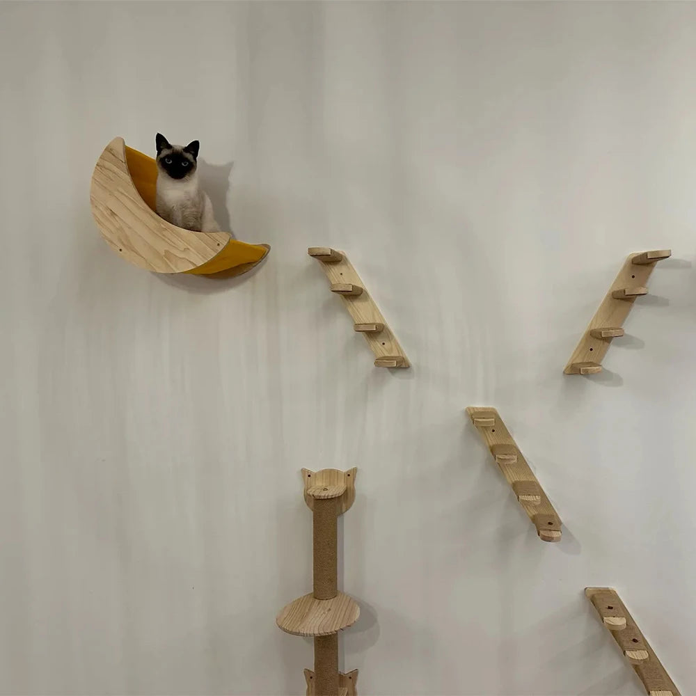 Wall Mounted Cat Climbing Shelves PATYOCAT Official Store