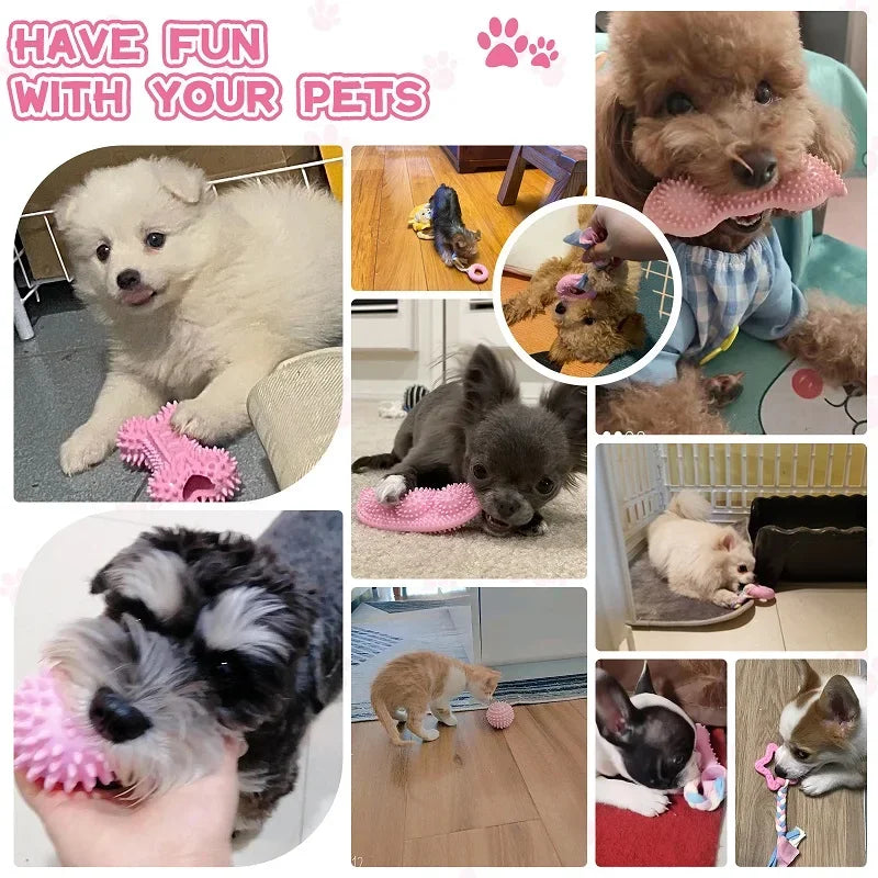 Pet Chew Toys for Cleaning Teeth Shop1103191158 Store