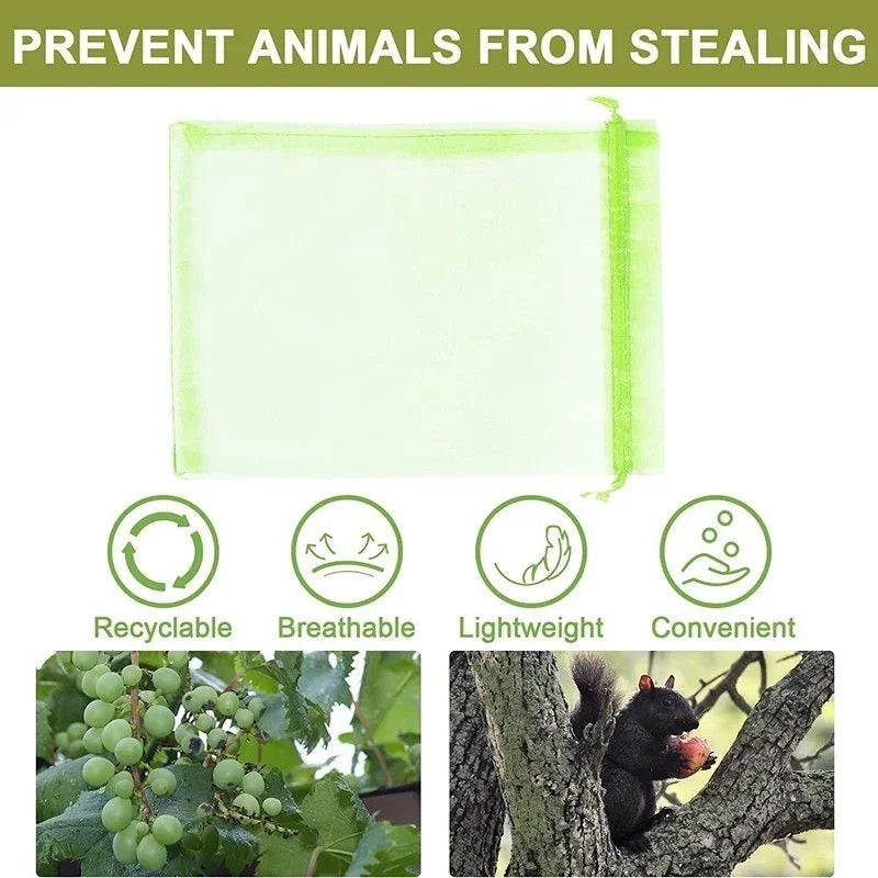 100pcs Fruit Protection Bags Lovemy Home Store