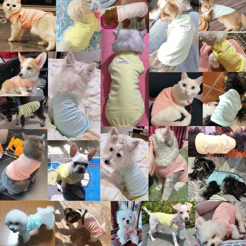 Breathable Pet Clothing DOGGYZSTYLE Store