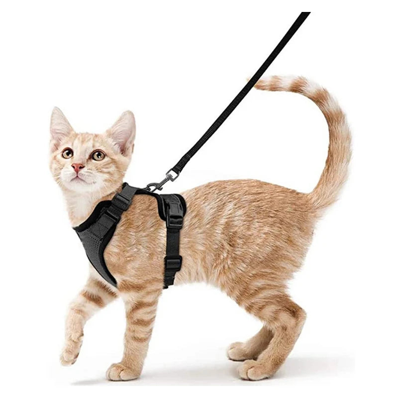 Small Pet Harness and Leash Shop1103832092 Store