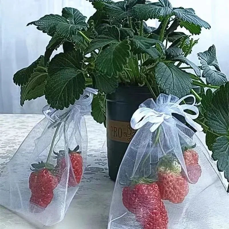 100pcs Fruit Protection Bags Lovemy Home Store