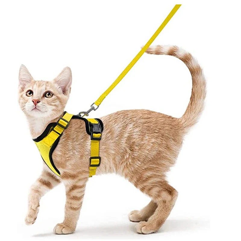 Small Pet Harness and Leash Shop1103832092 Store