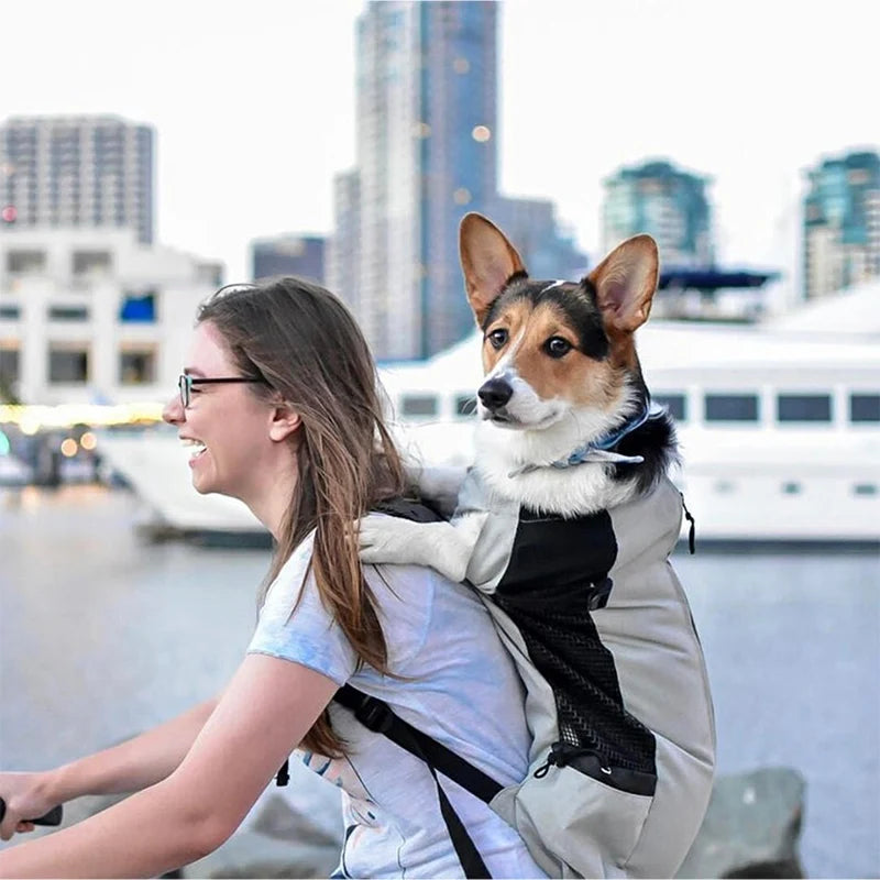 High Quality Breathable Cycling Backpack for Outdoor Travel Pet Supplies TNINGPET Store