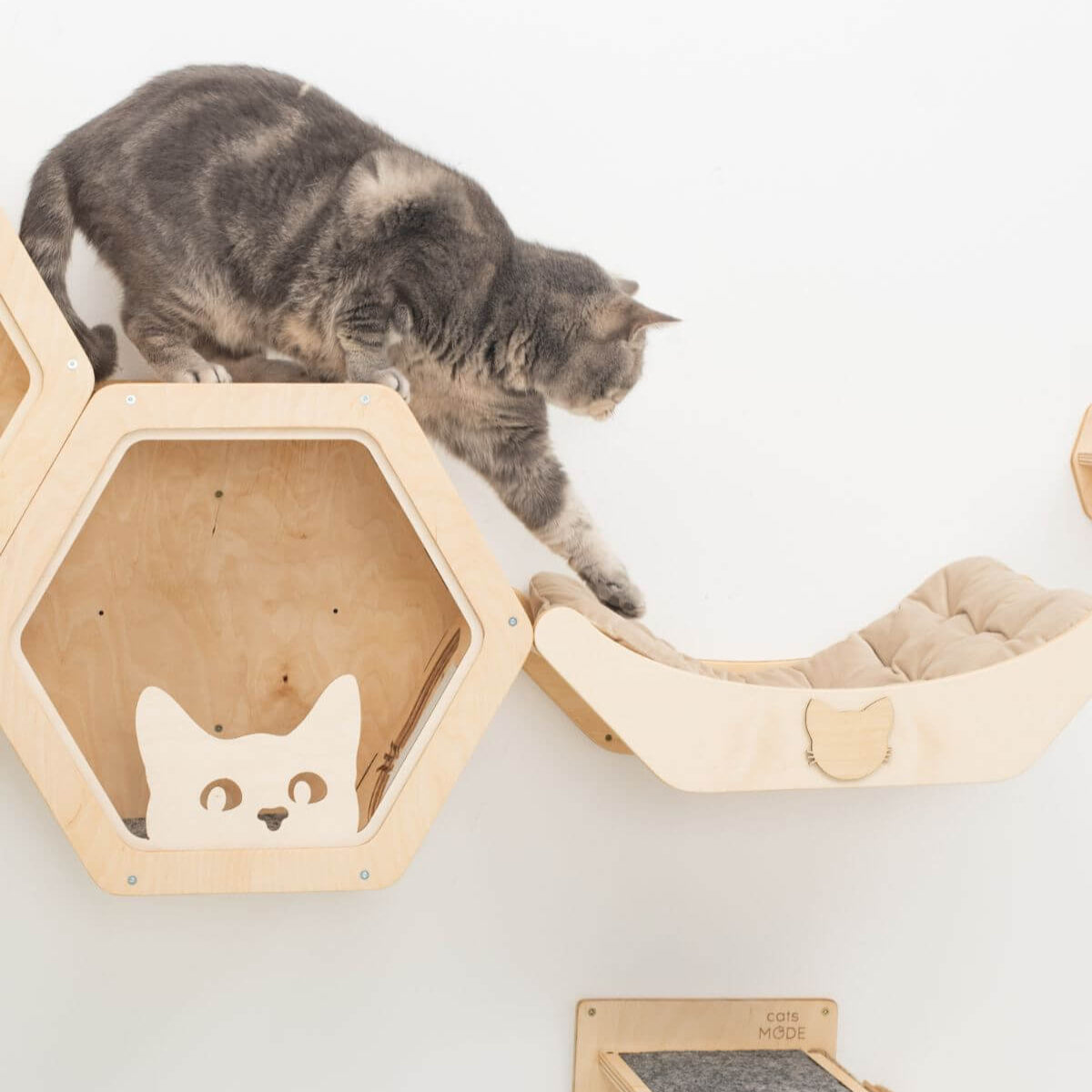 Cat Bed on Wall Light Enjoy The Wood