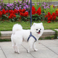 Dogs Cats Chest Straps Pet Supplies Pet Zen