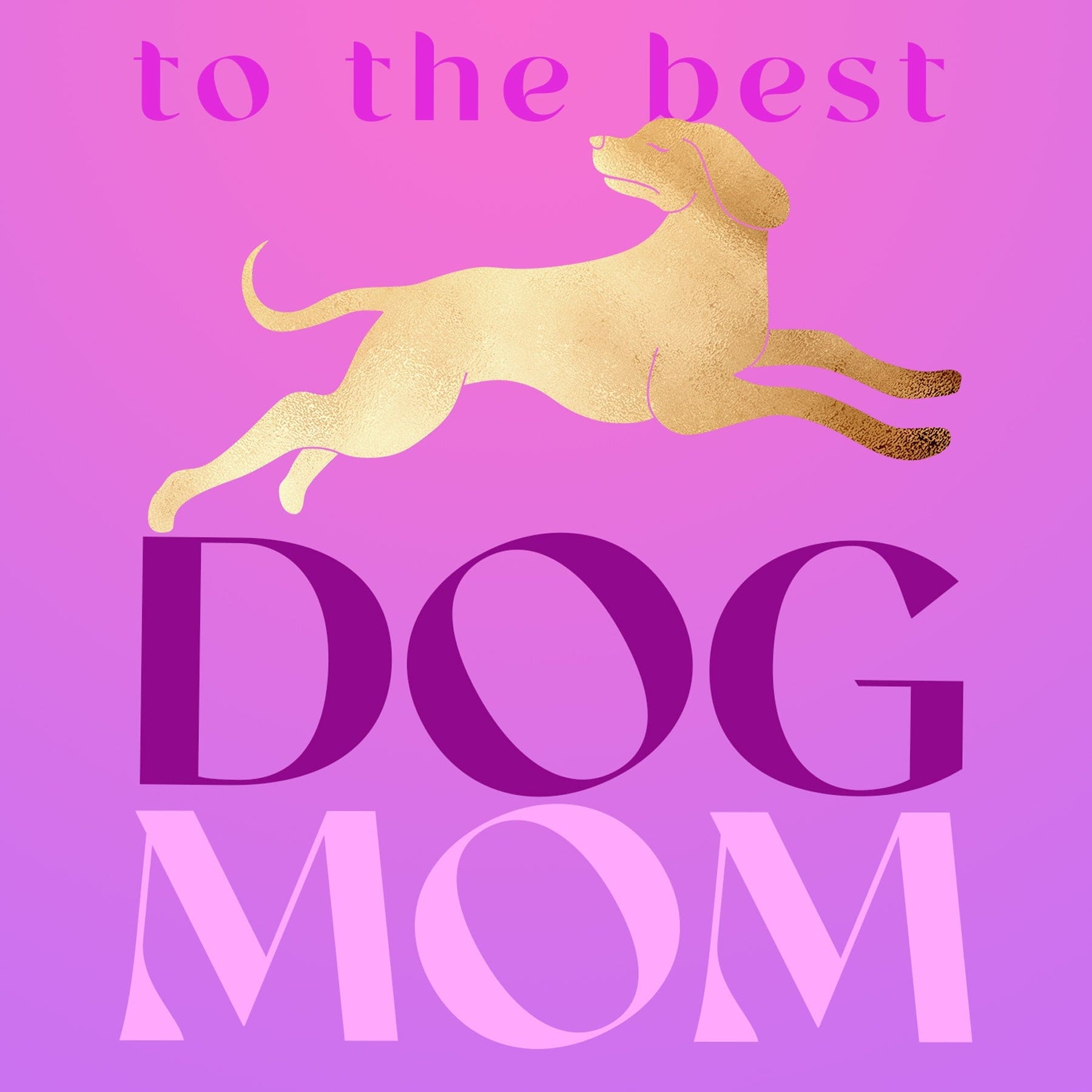 Dog Mom Gift Box Set Dear Ava