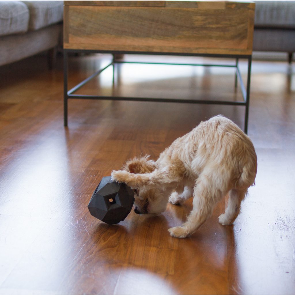 The Odin Treat Dispensing Toy For Dogs Up Dog Shop