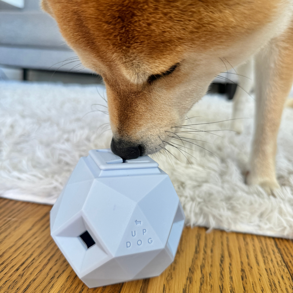 The Odin Treat Dispensing Toy For Dogs Up Dog Shop