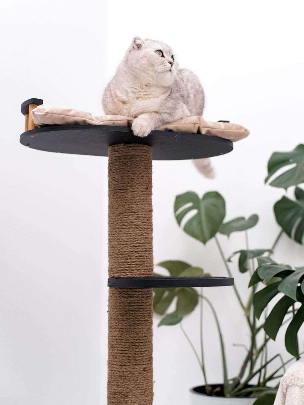 Wooden Cat Tree Enjoy The Wood