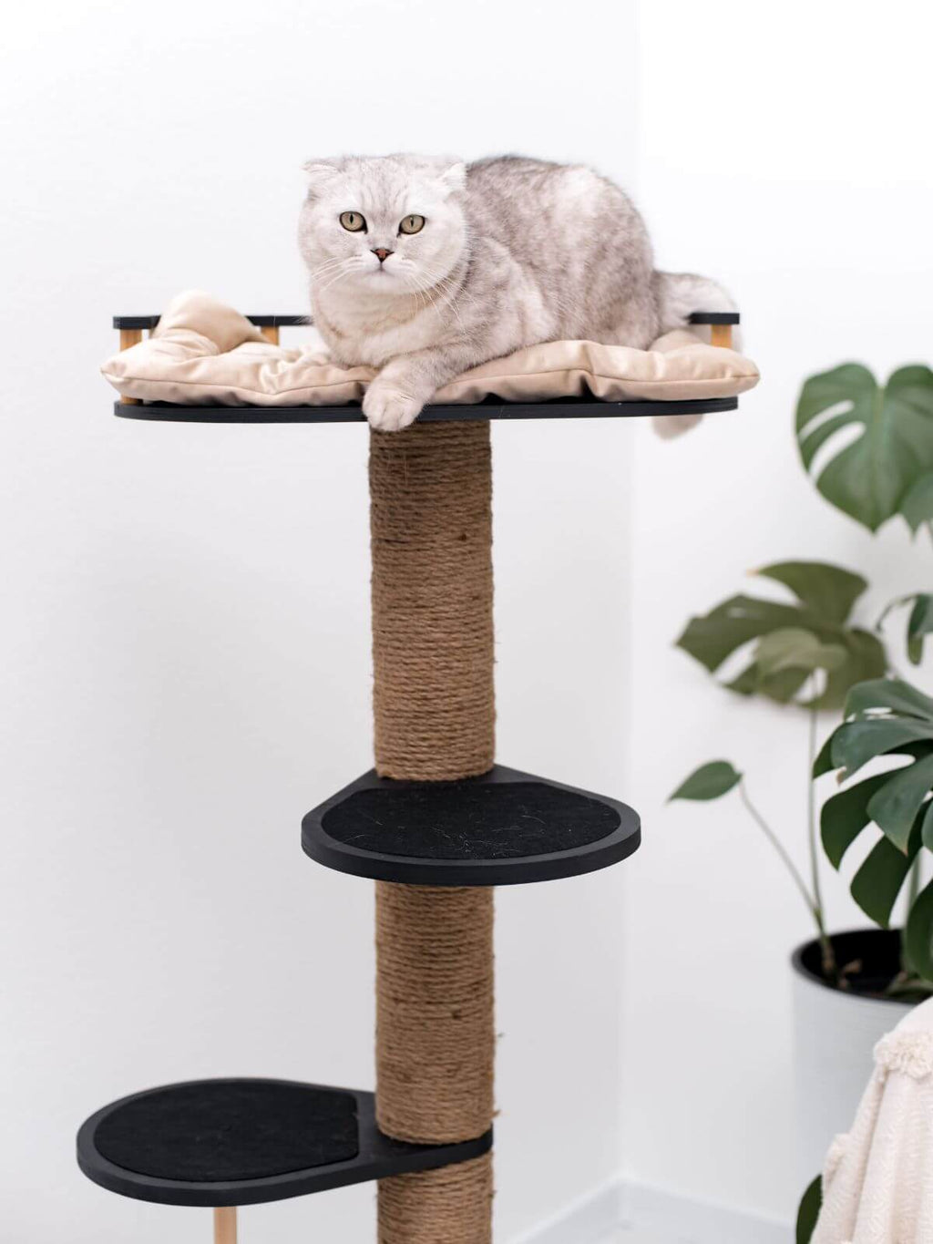 Wooden Cat Tree Enjoy The Wood